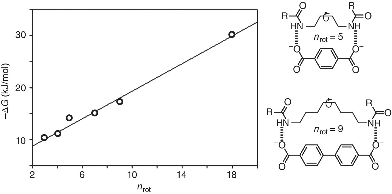 Graph of nrot vs. –ΔG (kJ/mol) displaying a diagonal line with open circles marker, with two corresponding schematic structures of nrot = 5 and nrot = 9 at the right.