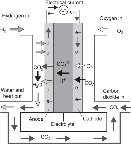 Scheme for Molten carbonate fuel cell.