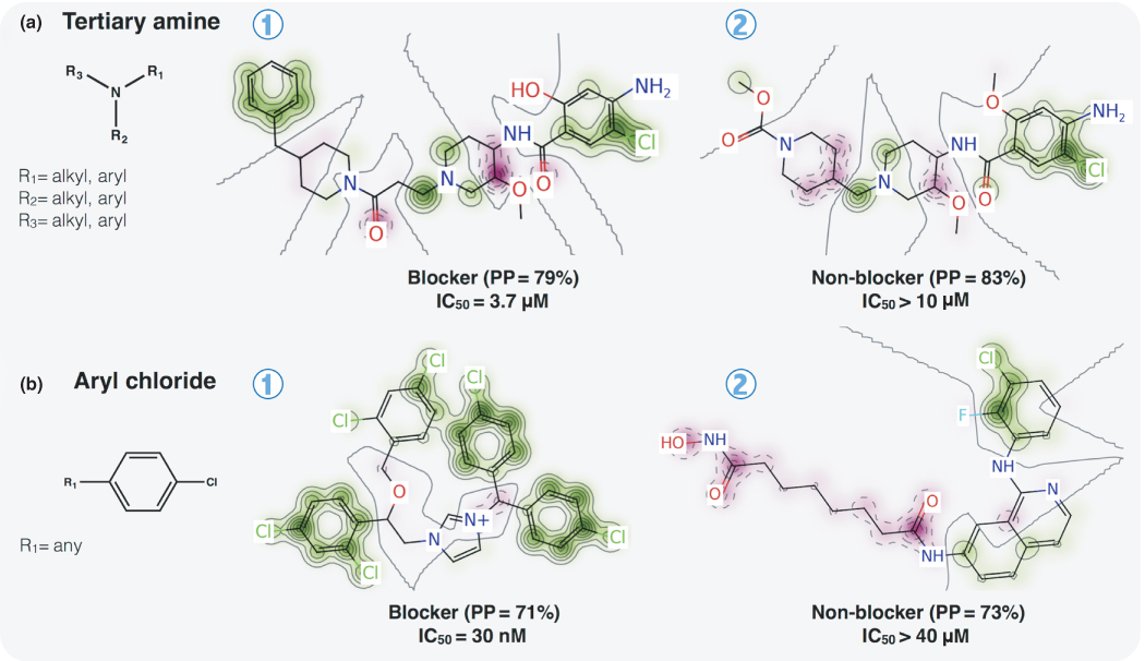 Illustration of Comparison of structural alerts and the Pred-hERG QSAR models for prediction of hERG blockage. (a) Tertiary amines. (b) Aryl chloride.