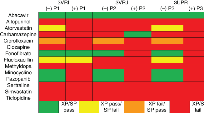 Illustration of Full docking summary combining SP and XP results.