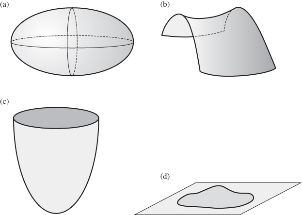 Illustration of Surface geometry. (a) Elliptic surface, (b) hyperbolic surface, (c) parabolic surface, and (d) planar surface.