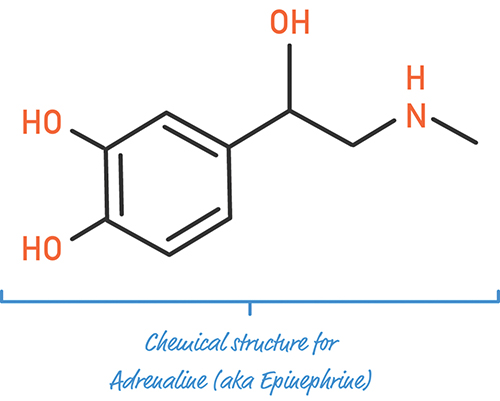 A figure shows the chemical structure for adrenaline (aka Epinephrine).