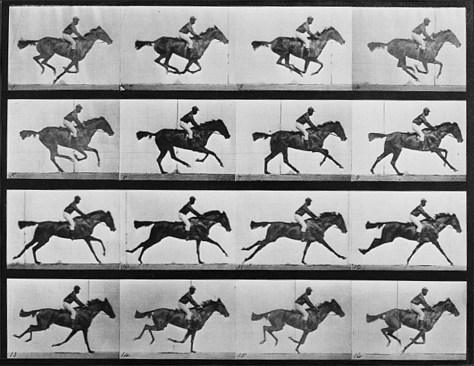 A photograph shows Muybridge chronophotography of a galloping horse.