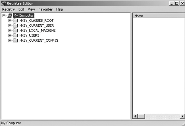 A screenshot of a registry editor window is shown. The window displays five tabs: registry, edit, view, favorites, and help. The left pane shows the tree where my computer is selected.