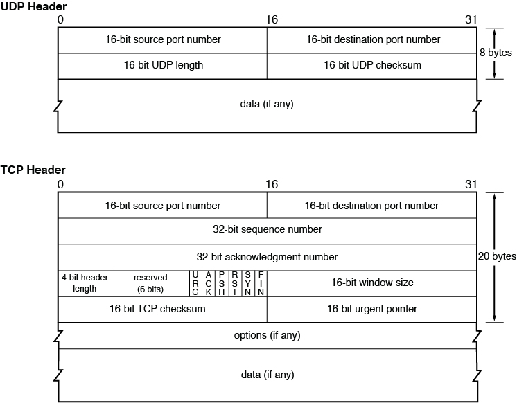 A figure shows the comparison between the UDP header and TCP header.
