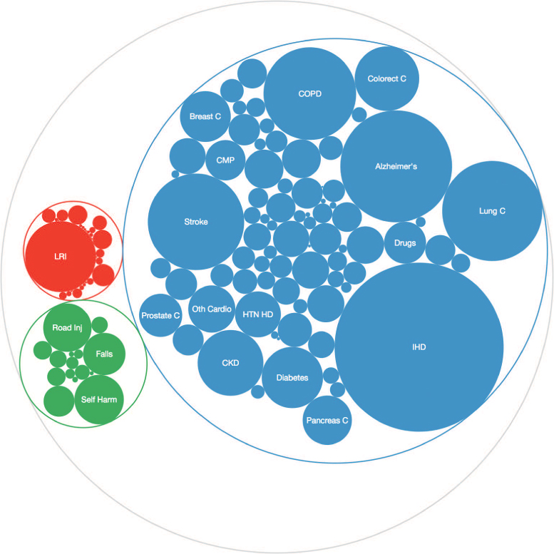 A circle pack layout represents the disease burden in the United States.