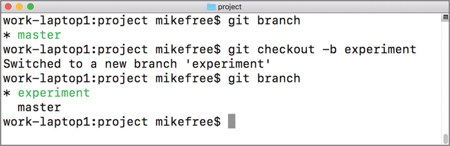 A screenshot displays the git commands in the project window. The commands used are git branch, git checkout -b experiment, and git branch. The corresponding outputs are below the commands.