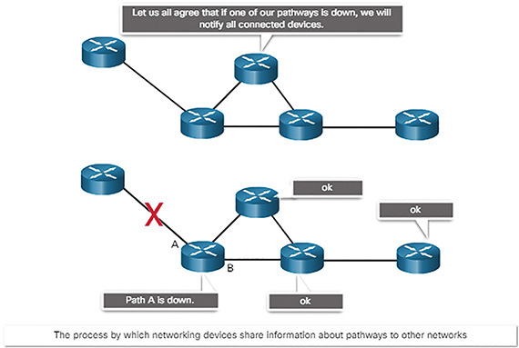 A figure shows the path of the router sharing information.