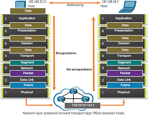A figure shows the transport layer PDU.