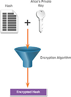 A figure represents Alice encrypting a hash using Alices private key.