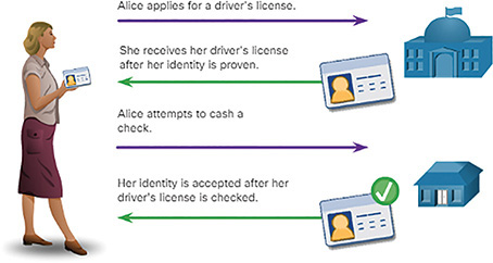 A figure represents the Drivers license PKI analogy.