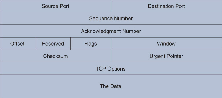 A figure depicts the TCP Packet format.