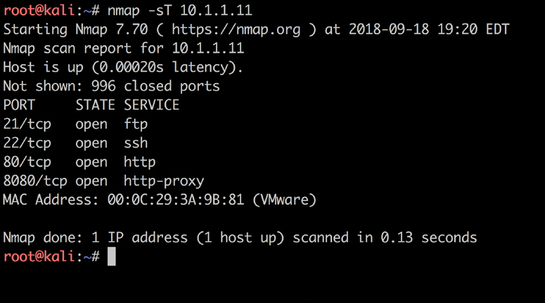 A screenshot displays the output of a Nmap S Y N scan.