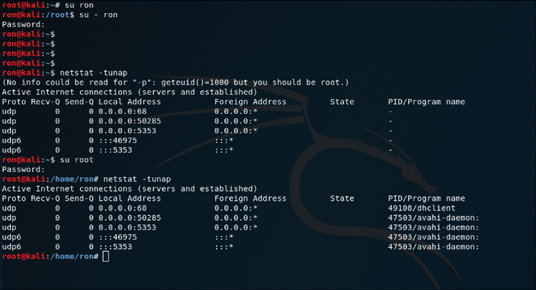 A screenshot displays the netstat command run by a non-privileged user and then run again by a root user.