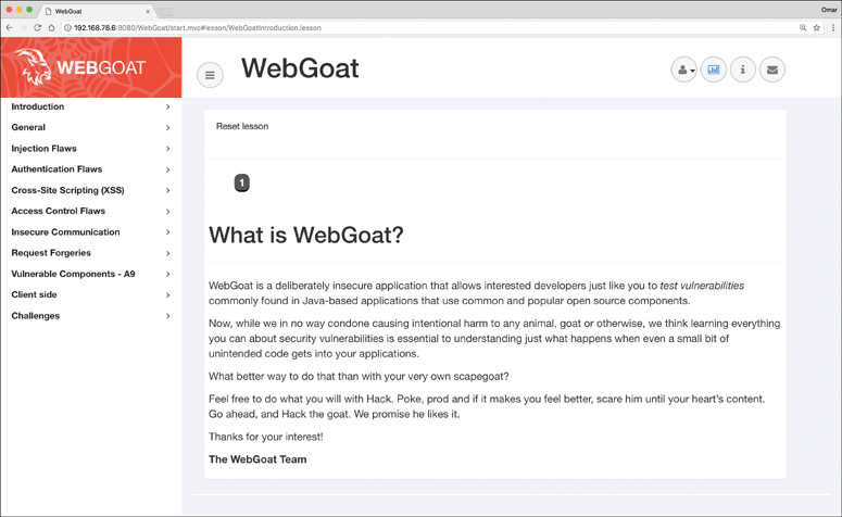 A screenshot of the WebGoat page.