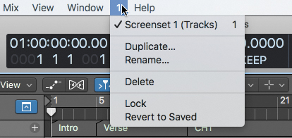 A screenshot of the main menu bar is shown, in which the Screenset menu (1) is selected. This opens a menu that lists screenset 1 (tracks), duplicate, rename, delete, lock, and revert to saved options. The screenset 1 (tracks) is selected.