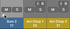 A summing stack displays three channel strips: sum 2 (track 17), act chop 1 (track 20), and act chop 2 (track 21). The disclosure triangle present on the channel strip of sum 2 is selected.
