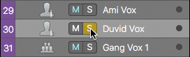 A snapshot of the tracks area shows three tracks namely Ami Vox, Duvid Vox, and Gang Vox 1. The Duvid Vox track is selected. Next to each track, two buttons labeled M and S are displayed.